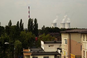 IMG_0716