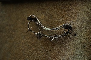 IMG_0829
