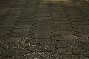 IMG_0840