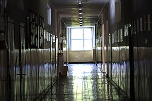 IMG_0884