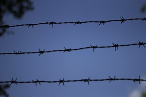 IMG_0913