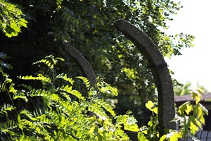 IMG_0937