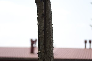 IMG_0938