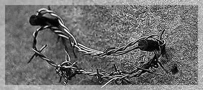 Więzienie progresywne 1951